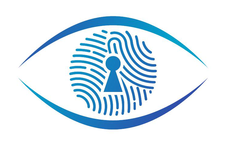 DIGITAL SECURITY SOLUTIONS